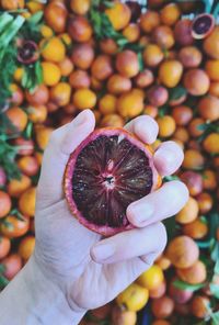 High angle view of person holding fruit