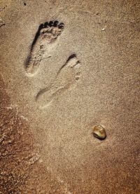 High angle view of footprints on wet sand