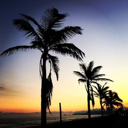 Silhouette of palm trees at sunset