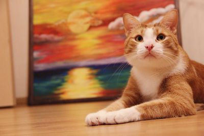 Close-up of a cat looking away