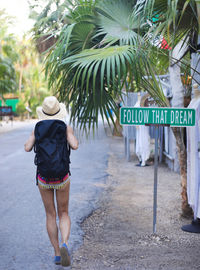 Rear view of woman walking on palm tree