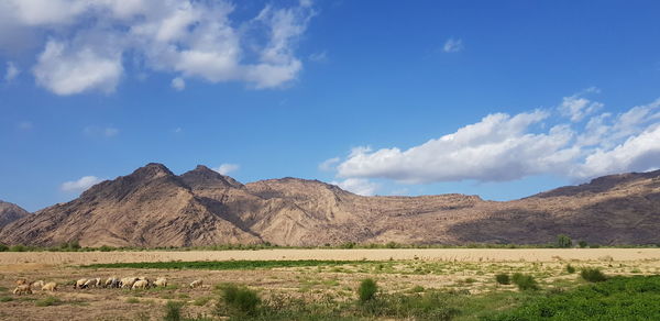 Scenic view of landscape and mountains against sky