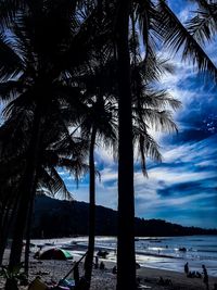 Silhouette palm trees on beach against sky