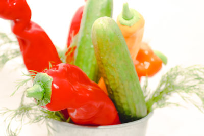 Seasonal pepper, cucumber and a fresh dill in a bucket .