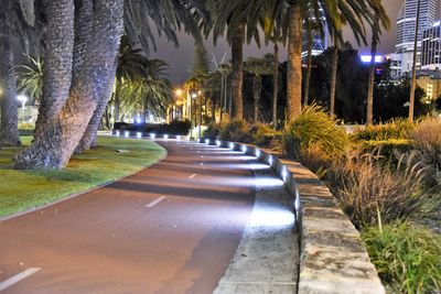 Road amidst trees in city at night