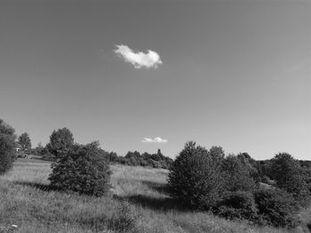 Trees on field against clear sky