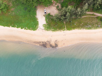 High angle view of trees by sea