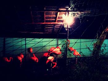 Close-up of illuminated red light