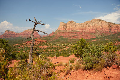 View of landscape with mountain in background