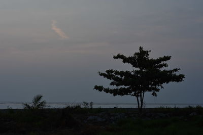 Silhouette tree on landscape against sky during sunset