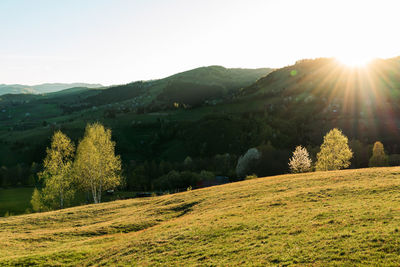 Scenic view of field against sky