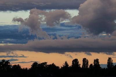 Low angle view of silhouette trees against sky at sunset