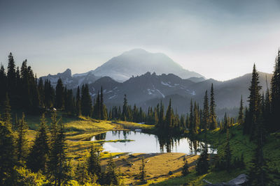 Tipsoo lake on sunset with a reflection of mt. rainier, washington