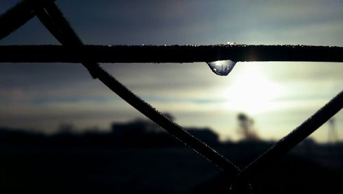 Close-up of water drops on leaf