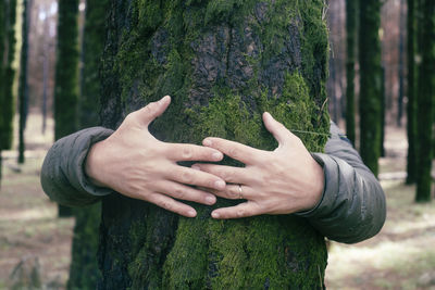 Cropped hand of woman touching tree trunk