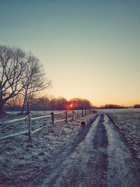 Road amidst bare trees against clear sky during winter