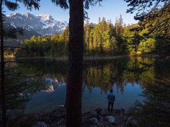 Scenic view of lake in forest against sky