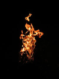 Close-up of fire against black background