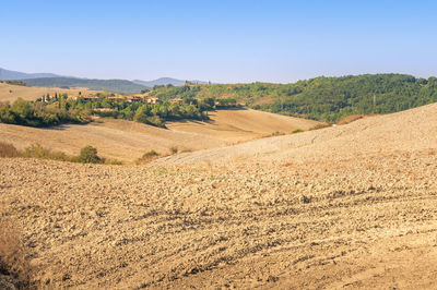 Scenic view of landscape against clear sky