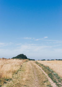 Scenic view of field against blue sky