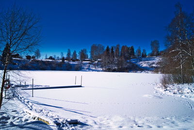 Bare tree on snow covered field