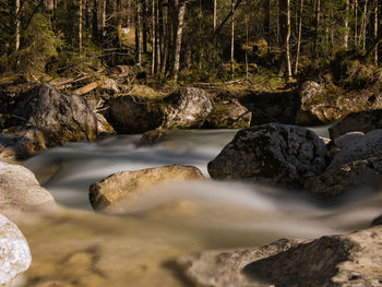 Stream flowing through rocks in forest