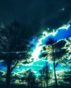 Low angle view of trees against cloudy sky