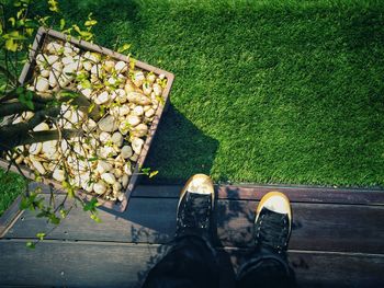 Low section of person standing by plants