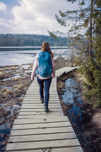 Hiking outdoors. a young woman tourist with a backpack walks through the forest and enjoys nature.