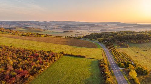 Scenic view of agricultural field against sky during sunset