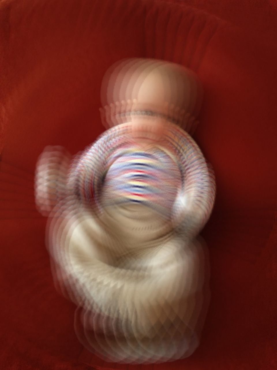 indoors, close-up, single object, still life, pattern, high angle view, red, no people, table, circle, spiral, wood - material, one animal, animal themes, design, multi colored, directly above, art and craft, orange color, studio shot