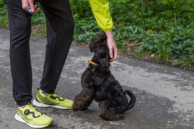 Low section of man with dog