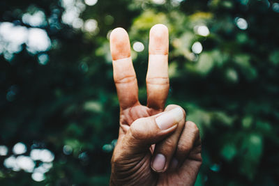 Cropped hand gesturing peace sign