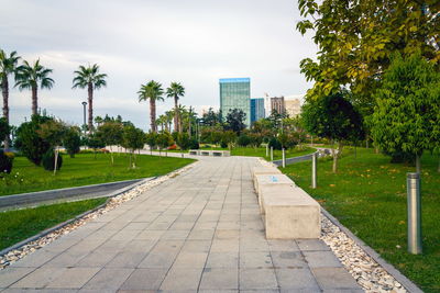 Footpath amidst palm trees and buildings in city against sky