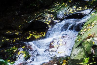 River flowing through rocks