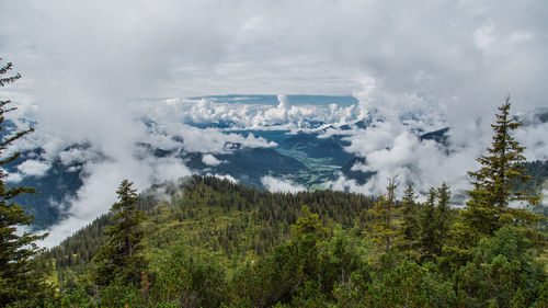 High angle view of trees covered mountains against cloudy sky