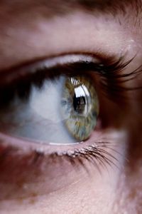 Close-up portrait of human eye