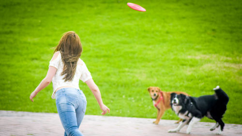 Rear view of woman playing plastic disc with dogs in park