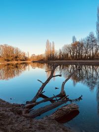 Scenic view of lake against clear blue sky ausbuchtung mainufer naturgebiet 