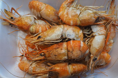 High angle view of sea food in bowl