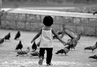 Kid playing with pigeons 