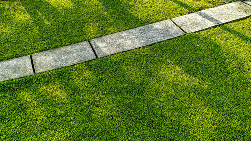 High angle view of footpath in park