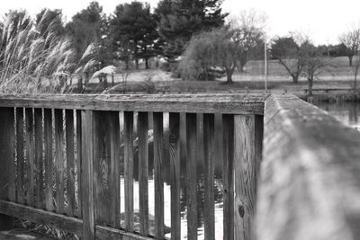 Scenic view of grass and trees