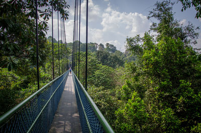 Footbridge amidst trees in forest against sky