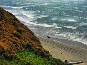 High angle view of beach