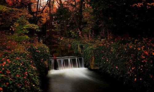 Scenic view of waterfall in forest during autumn