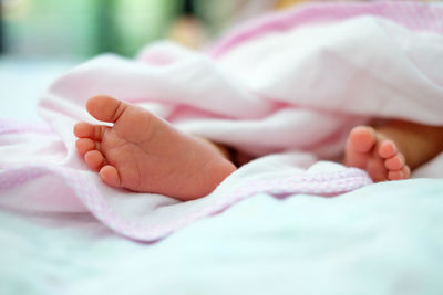 Low section of baby feet on bed