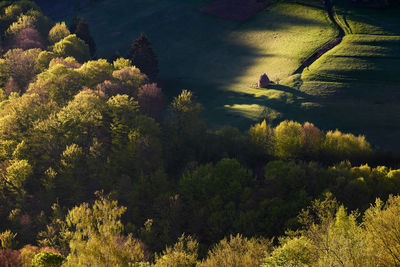 A photo taken this spring during the sunrise in holbav, brasov