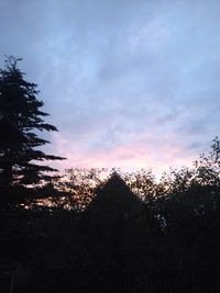 Low angle view of trees against cloudy sky