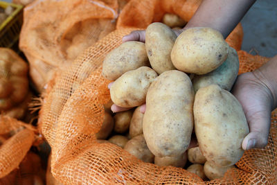 Close-up of hand holding basket